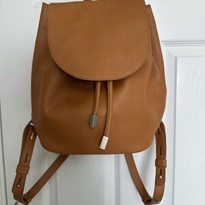 Everlane leather backpack